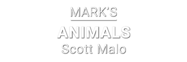 Marks-animals